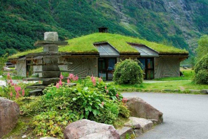 озеленение участка