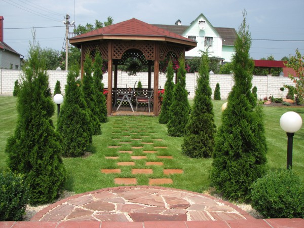 озеленение территории