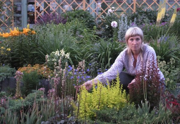 Агротехника - барбарисы Агротехника - барбарисы