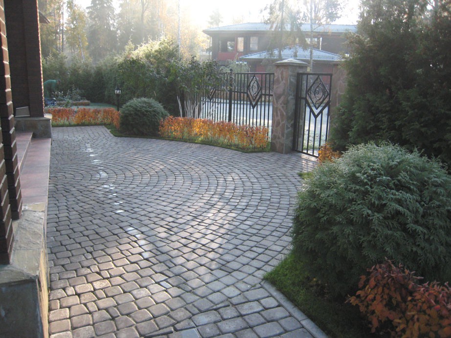 живая изгородь живая изгородь