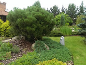 Частные усадьбы, дизайнер Поперекова Светлана