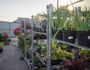 Наш садовый центр